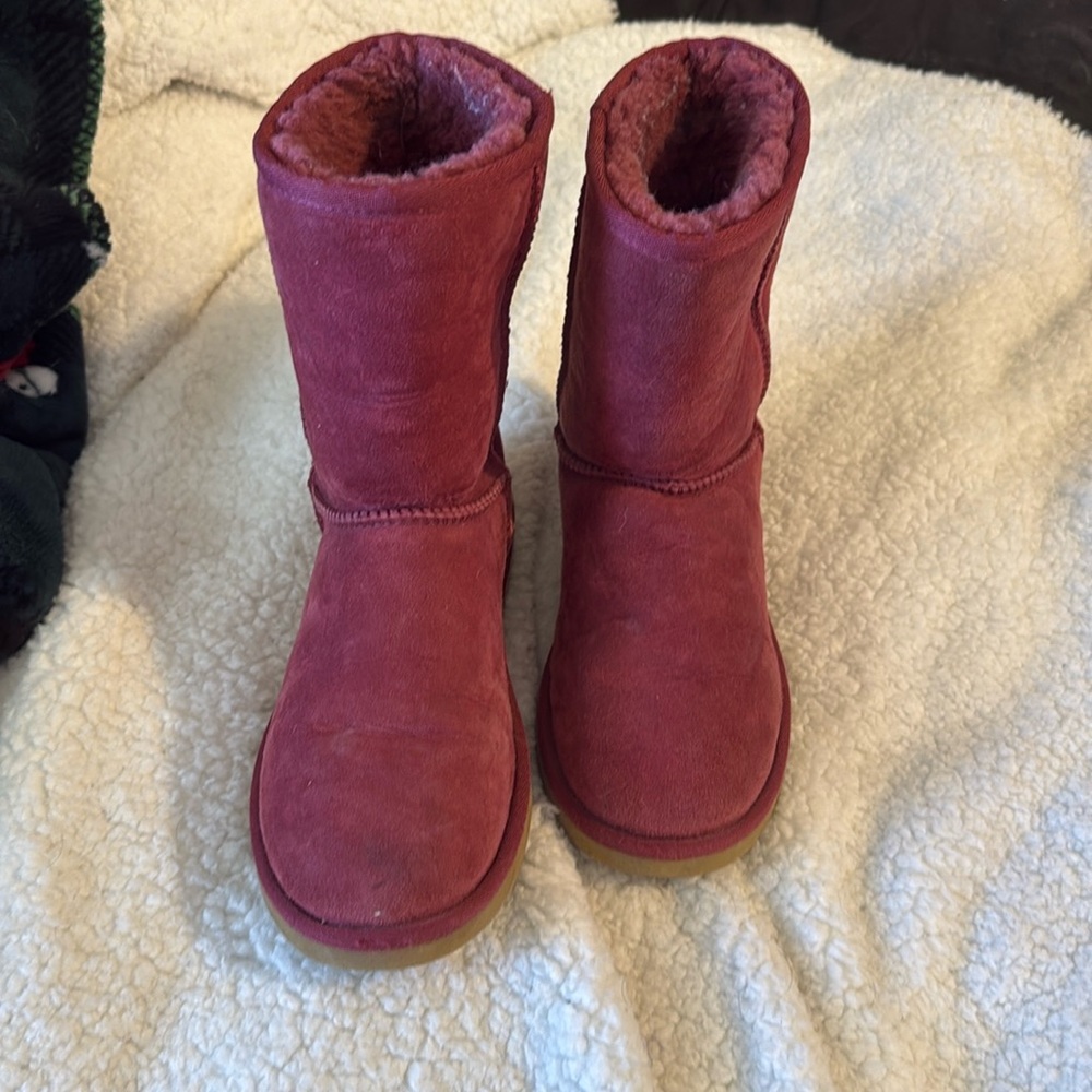 Classic Uggs - image 1